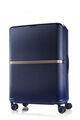 MINTER SPINNER 75/28 EXP  hi-res | Samsonite