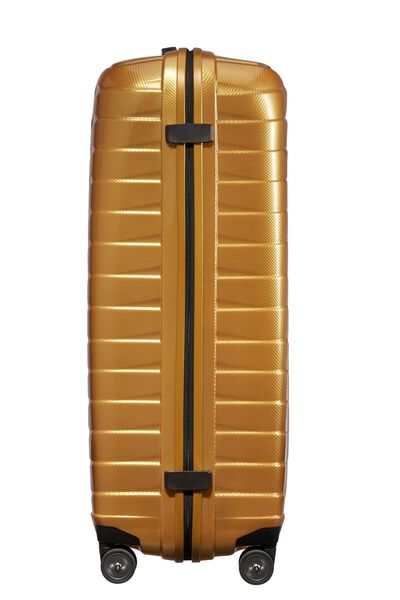 PROXIS SPINNER 81/30