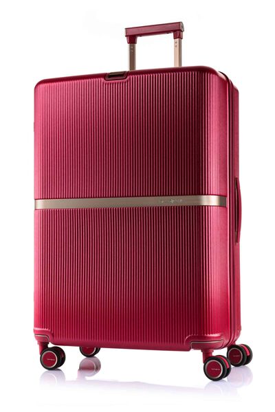 MINTER SPINNER 75/28 EXP  hi-res | Samsonite
