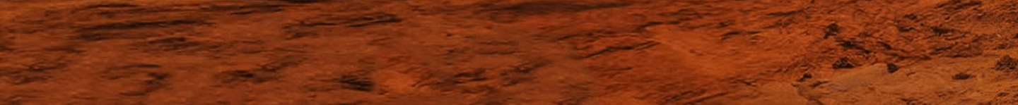 Samsonite Reasons Header