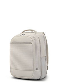 Samsonite Bags