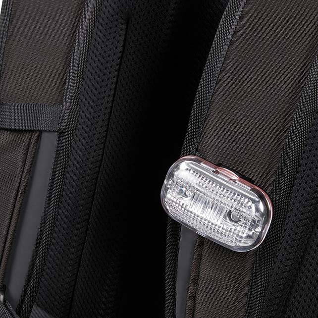 BIZ2GO BP 17.3" EXP OVERNIGHT